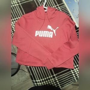 NWT Cropped Puma Hoodie